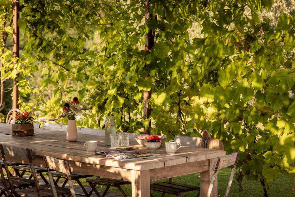 Redolina – Garden