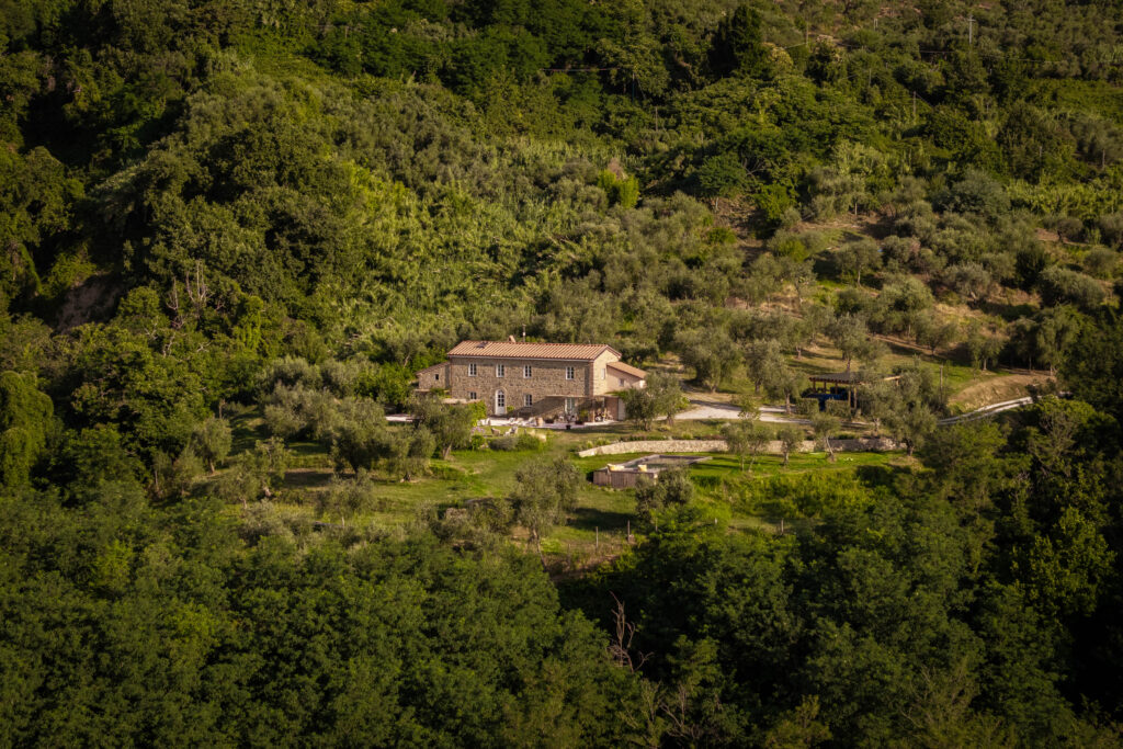 Redolina – From above